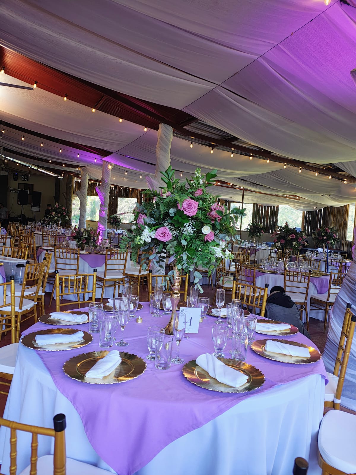 Salón Árbol - Foto 5